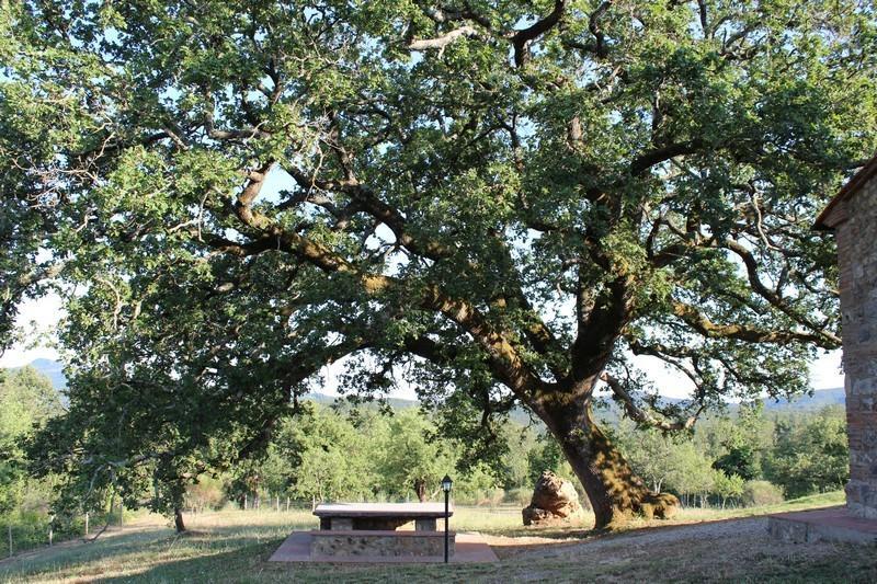 Agriturismo La Quercia Boccheggiano Exteriér fotografie